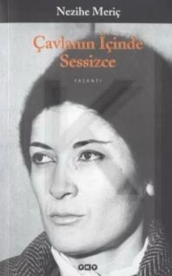 Çavlanın İçinde Sessizce ürün görseli 1