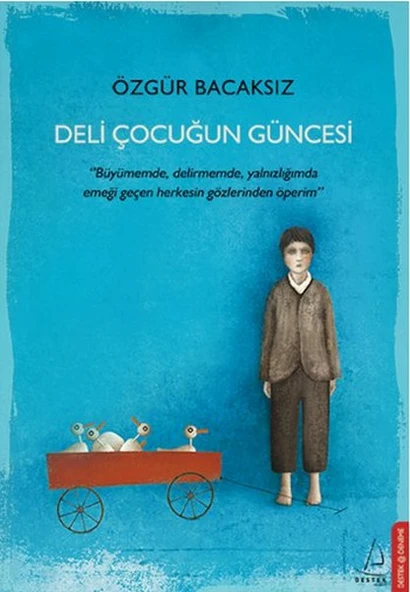 Deli Çocuğun Güncesi ürün görseli 1