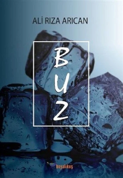 Buz ürün görseli 1