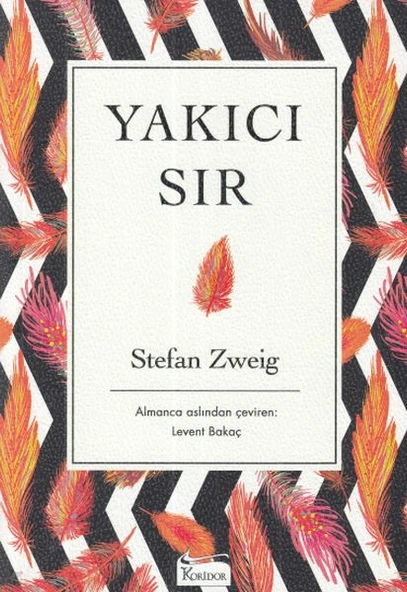 Yakıcı Sır - Ciltsiz ürün görseli 1
