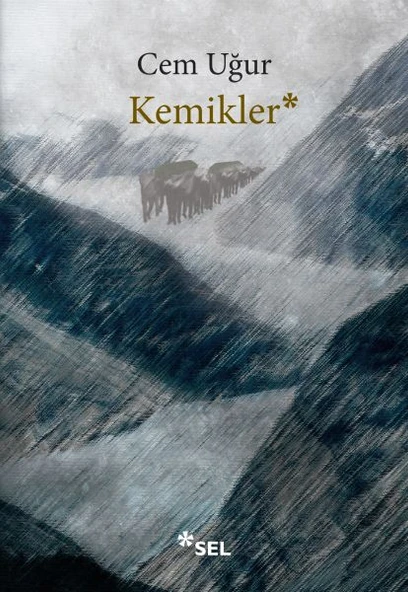 Kemikler ürün görseli 1