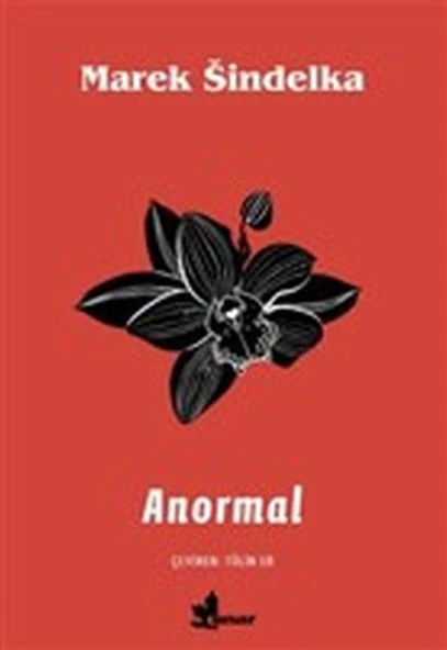 Anormal ürün görseli 1