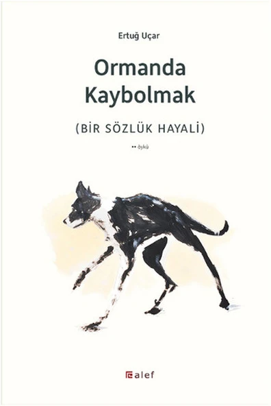 Ormanda Kaybolmak ürün görseli 1