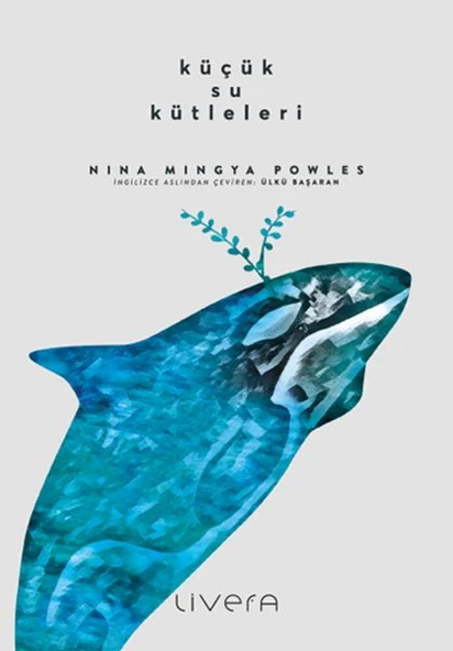Küçük Su Kütleleri ürün görseli 1
