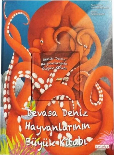 Devasa Deniz Hayvanlarının Büyük Kitabı & Minik Deniz Hayvanlarının Küçük Kitabı ürün görseli 1