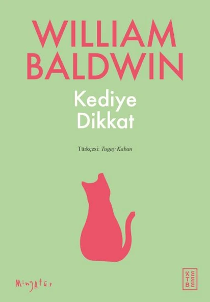Kediye Dikkat ürün görseli 1