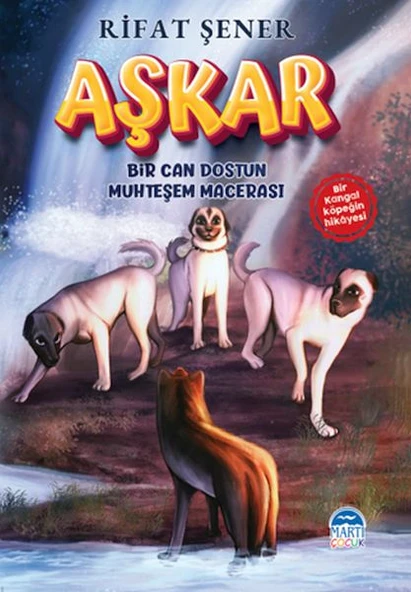 Aşkar ürün görseli 1