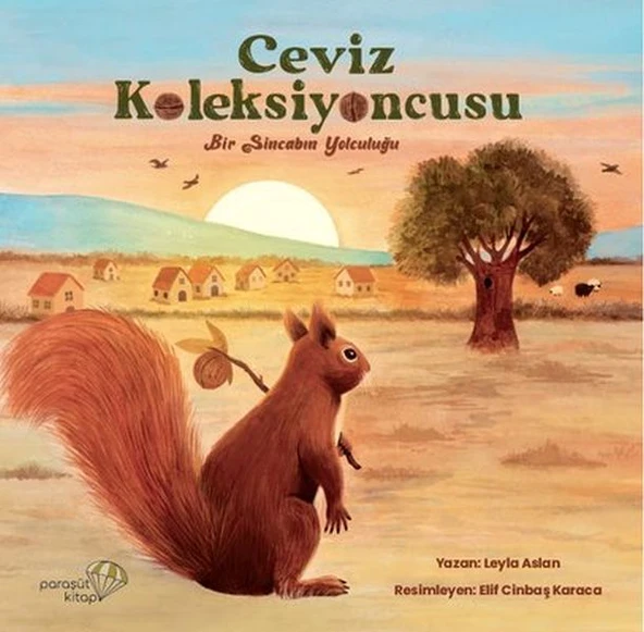 Ceviz Koleksiyoncusu ürün görseli 1