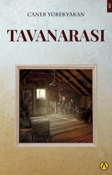 Tavanarası ürün görseli 1