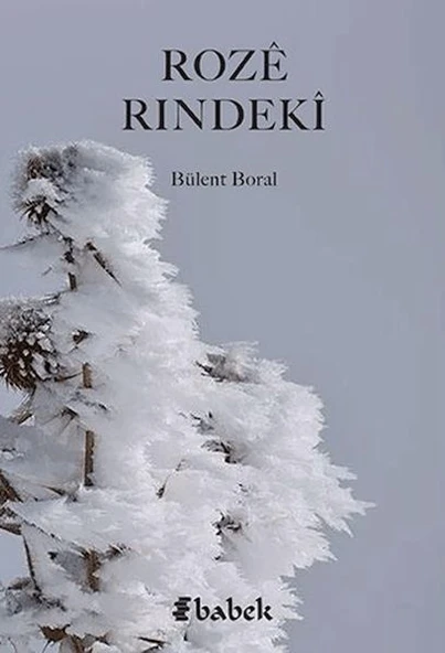 Roze Rındeki ürün görseli 1