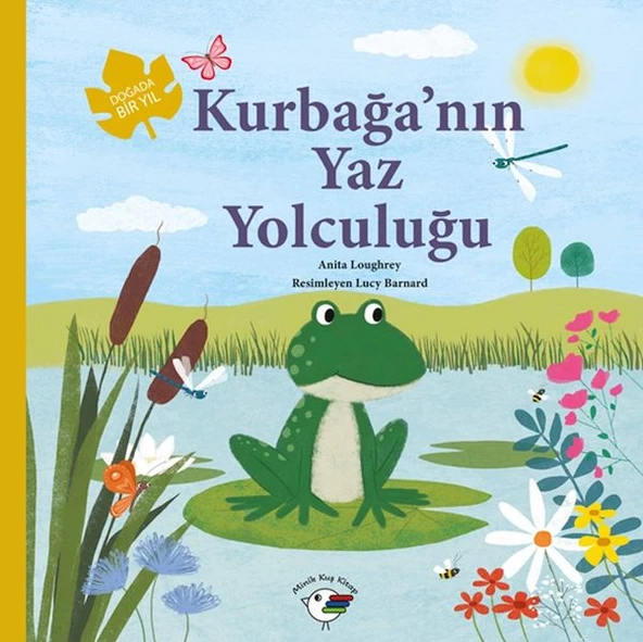Kurbağa’nın Yaz Yolculuğu – Doğada Bir Yıl ürün görseli 1