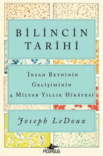 Bilincin Tarihi: İnsan Beyninin Gelişiminin 4 Milyar Yıllık Hikayesi ürün görseli 1