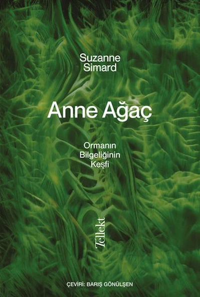 Anne Ağaç ürün görseli 1