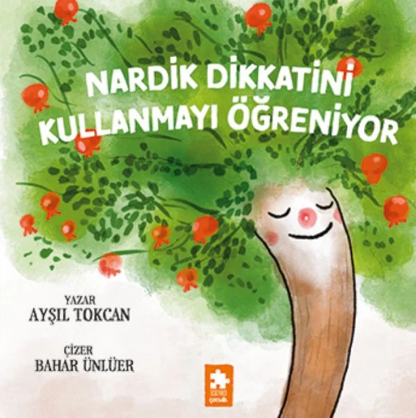 Nardik Dikkatini Kullanmayı Öğreniyor ürün görseli 1