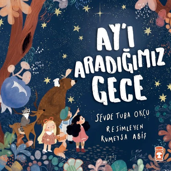 Ay’ı Aradığımız Gece ürün görseli 1