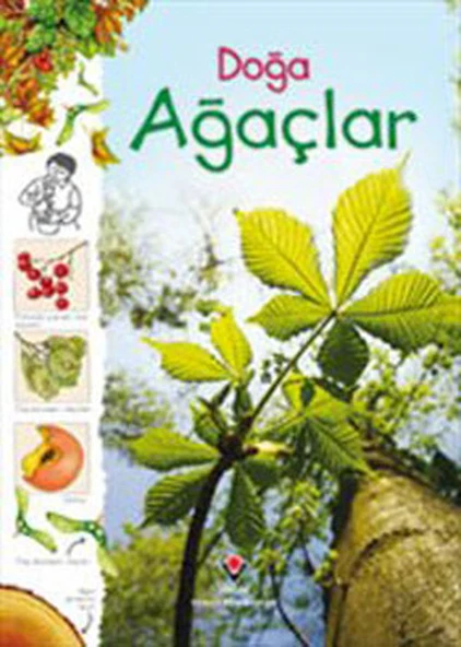 Doğa - Ağaçlar ürün görseli 1