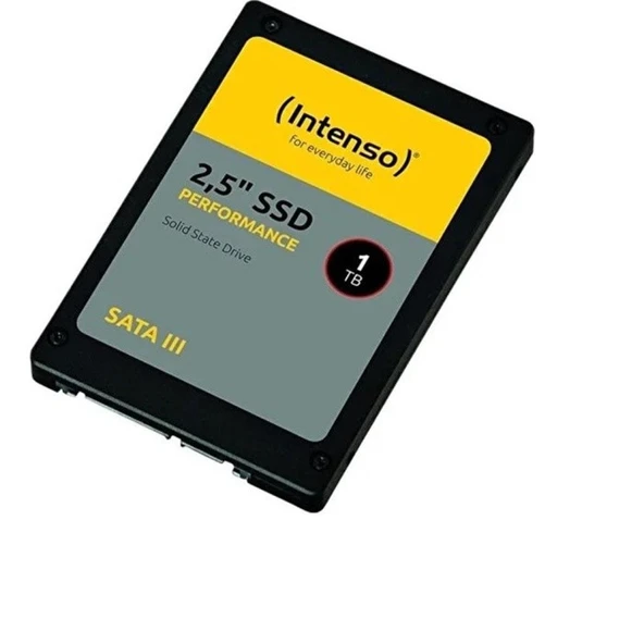 1TB Intenso Top 2.5" Sata 3 520MB-500MB/s (3812460) SSD Disk ürün görseli 1