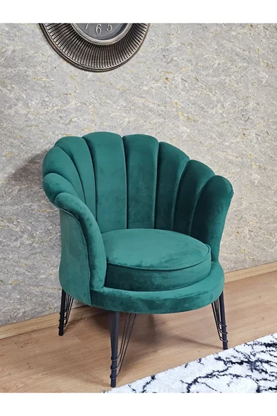Tekli İstiridye Siyah Boyalı Telli Ayak Çay Seti Koltuk Tekli Berjer , Balkon, Salon, Ofis Yeşil Renk 47 x 47 Boyut/Ebat ürün görseli 1