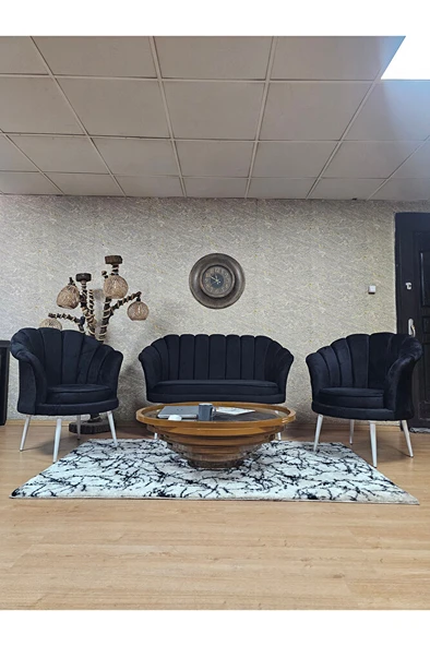 İstiridye Takım Beyaz Boyalı Sivriltme Ayak Çay Seti Koltuk Takımı Siyah Renk 110 x 48 Boyut/Ebat ürün görseli 1