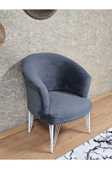 Tekli TEDDY Beyaz Boyalı Telli Ayak Çay Seti Koltuk Tekli Berjer , Balkon, Salon, Ofis Füme Renk 40,5 Boyut/Ebat ürün görseli 1