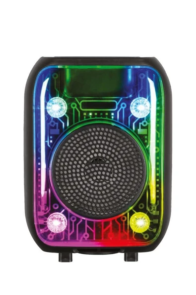 D66 Siyah Kablolu Mikrofonlu Bluetooth Hoparlör - Resim 2