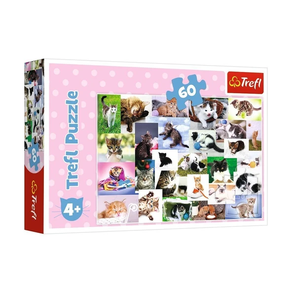 PARAPLY 17332 Trefl/60 PUZZLE CATS WORLD YAPBOZ Kız Erkek Çocuk Oyuncak Eğitici Oyuncaklar ürün görseli 1