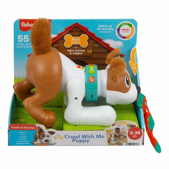 PARAPLY HHH13 Fisher Price, Emeklemeyi ve Saymayı Öğreten Köpekçik Kız Erkek Çocuk Oyuncak Eğitici Oyuncakla ürün görseli 1