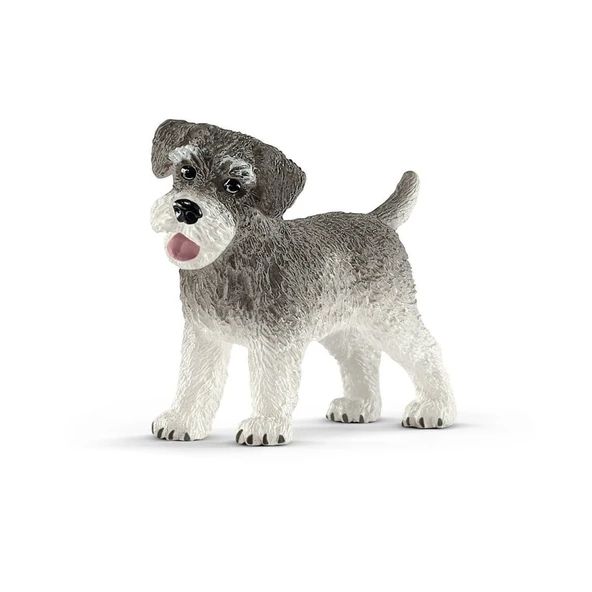 PARAPLY 13892 Schleich - Minyatür Schnauzer +3 yaş Kız Erkek Çocuk Oyuncak Eğitici Oyuncaklar ürün görseli 1