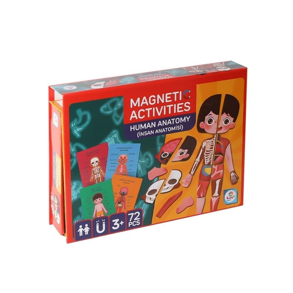 PARAPLY LC986 Manyetik Aktivite İnsan Anatomisi -Laço Kız Erkek Çocuk Oyuncak Eğitici Oyuncaklar ürün görseli 1
