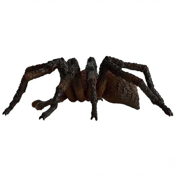 PARAPLY Schleich HP Aragog 13987 Kız Erkek Çocuk Oyuncak Eğitici Oyuncaklar ürün görseli 1