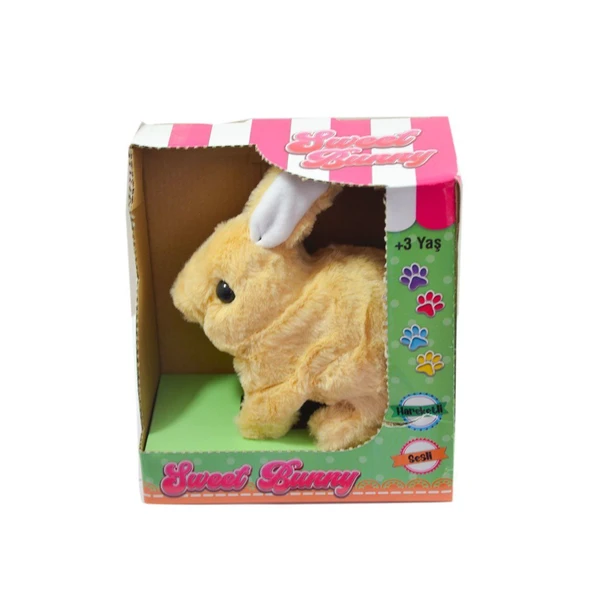PARAPLY 40098 Tavşan Peluş Pilli-Aya Toys Kız Erkek Çocuk Oyuncak Eğitici Oyuncaklar ürün görseli 1