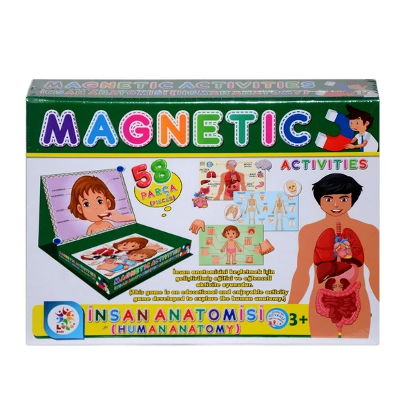 ZeycanHome LC7171 Laço, Laço, Manyetik Aktiviteler - İnsan Anatomisi / +3 yaş Kız Erkek Çocuk Oyuncak Eğitici O ürün görseli 1