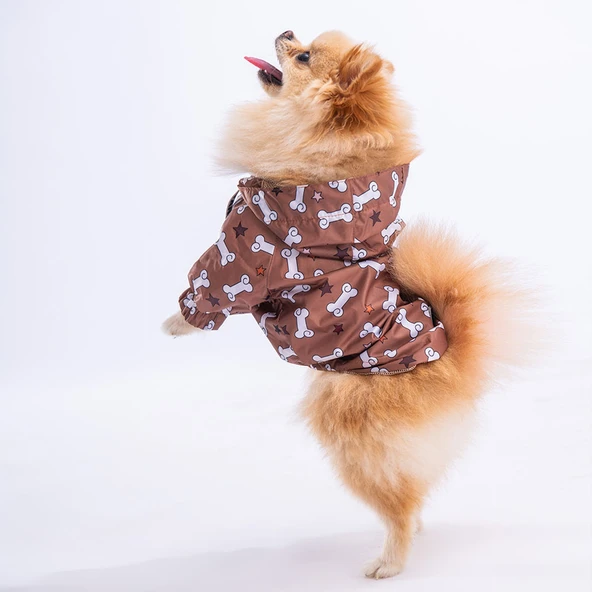 Pawstar StellaOs Fileli Su Geçirmez Küçük Irk Köpek Yağmurluğu ürün görseli 1