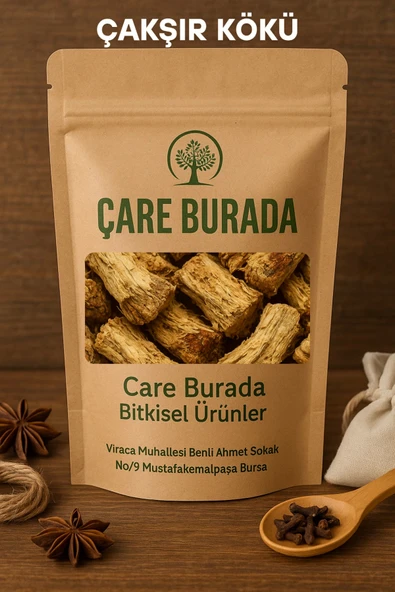 Çakşır Kökü 100 Gr ürün görseli 1