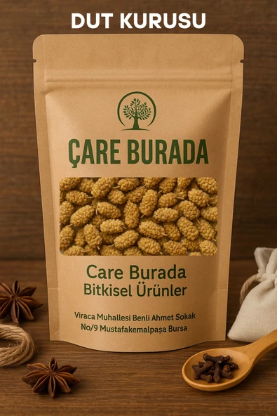 Dut Kurusu 100 Gr ürün görseli 1