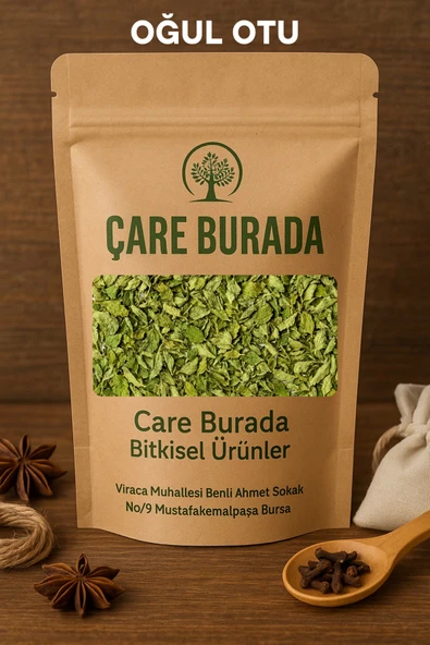 Kuru Oğul Otu 100 Gr ürün görseli 1