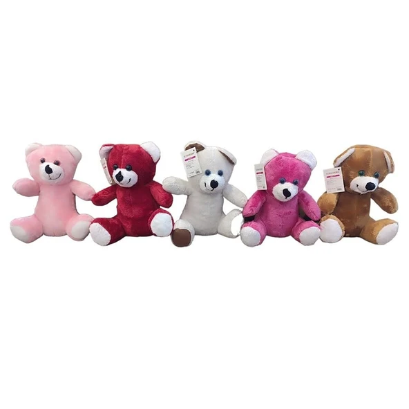 TOYZ DÜKKANIM Peluş Ayıcık 25cm -1adet stokta olan gönderilir Kız Erkek Çocuk Oyuncak Eğitici Oyuncaklar ürün görseli 1