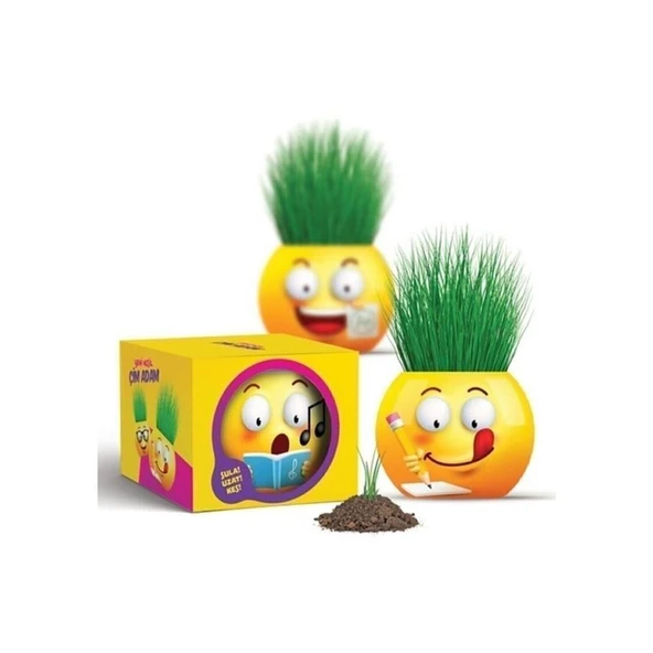 TOYZ DÜKKANIM 5926 Çim Adam Seti Yeni Nesil Çim Adam Kutulu 1adet Kız Erkek Çocuk Oyuncak Eğitici Oyuncaklar ürün görseli 1