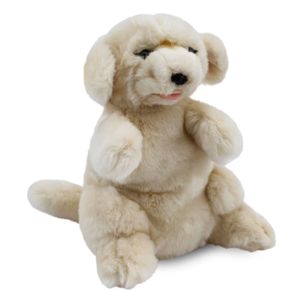TOYZ DÜKKANIM Golden Retriever Kukla 30cm Kız Erkek Çocuk Oyuncak Eğitici Oyuncaklar ürün görseli 1