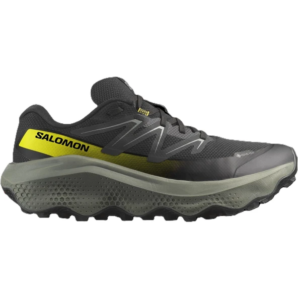 Salomon ULTRA FLOW 2 GORE-TEX Erkek Ayakkabısı L47883200 ürün görseli 1