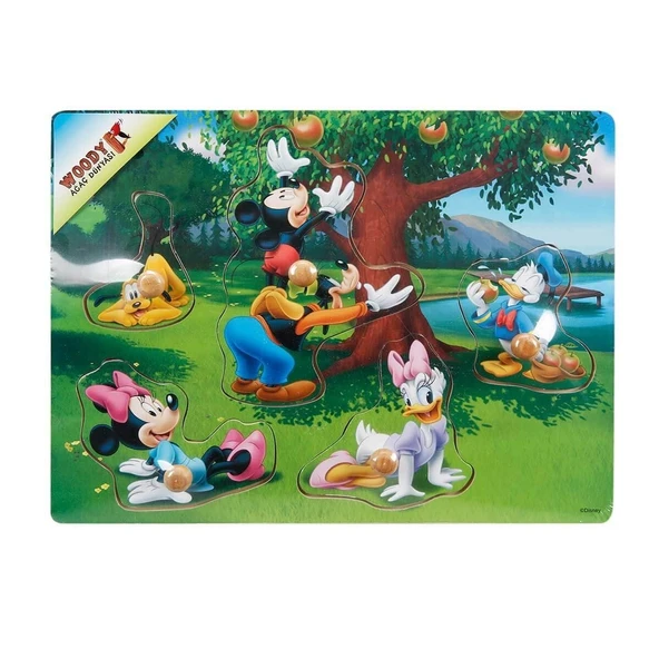 YUMURCAK TOYZ 15204 SUN-TAHTA BULTAK RAPTİYELİ(MMCH) 3A. TOB-WOO- Kız Erkek Çocuk Oyuncak Eğitici Oyuncaklar ürün görseli 1