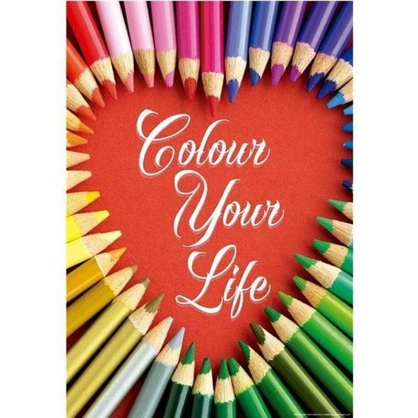 YUMURCAK TOYZ 17081/EDU COLOUR YOUR LIFE /Educa 500 parça puzzle Kız Erkek Çocuk Oyuncak Eğitici Oyuncaklar ürün görseli 1