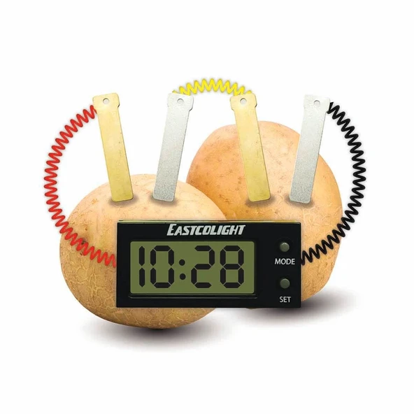 YUMURCAK TOYZ Potato Power Patates Saati Kız Erkek Çocuk Oyuncak Eğitici Oyuncaklar ürün görseli 1