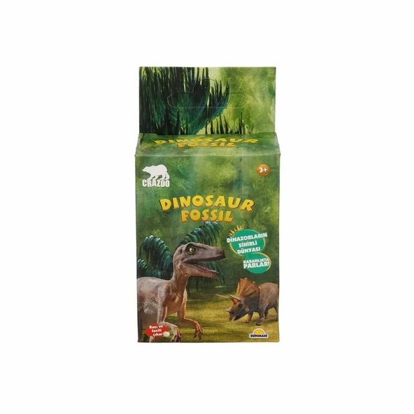 YUMURCAK TOYZ Karanlıkta Parlayan Dinozor Fosil Kazı Seti - S00003201 Kız Erkek Çocuk Oyuncak Eğitici Oyuncaklar ürün görseli 1