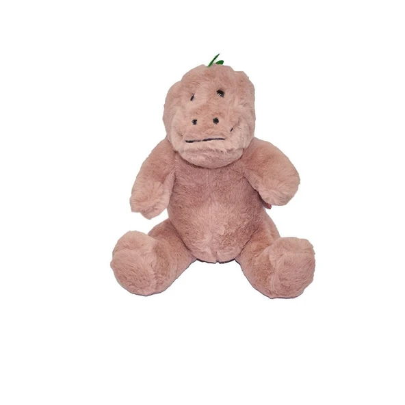 OMZ 5603 30cm Dinozor Kız Erkek Çocuk Oyuncak Eğitici Oyuncaklar ürün görseli 1