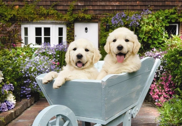 Anatolian 260 Parça Bahçıvan Köpekler Puzzle ürün görseli 1
