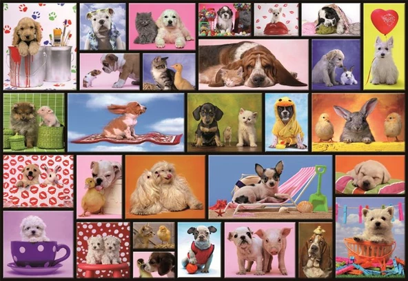 Educa 1000 Parça Puzzle Shared Moments ürün görseli 1