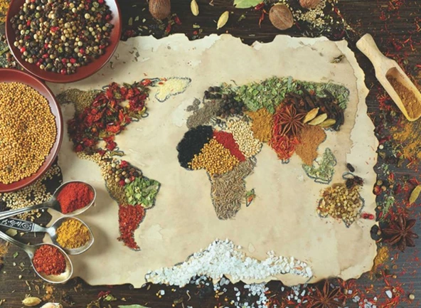 Anatolian 1000 Parça Puzzle Baharatlı Dünya Haritası (Herbal World Map) ürün görseli 1