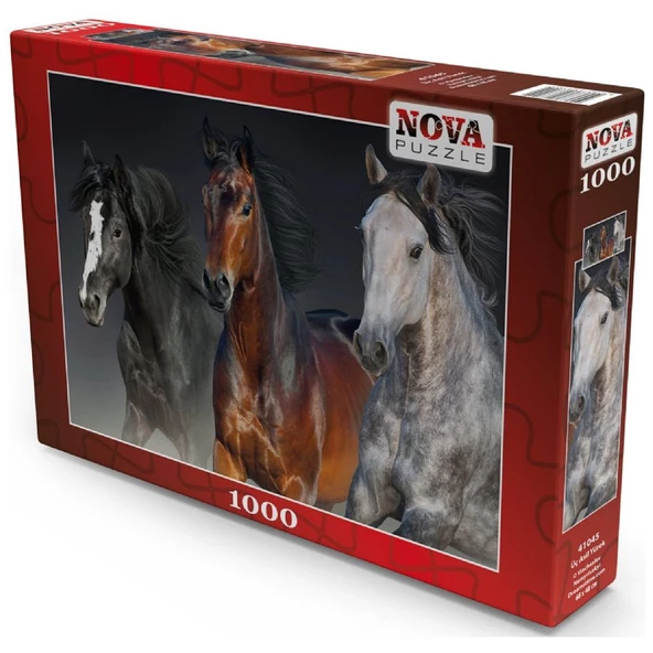 Nova 1000 Parça Üç Asil Yürek Puzzle - Resim 2