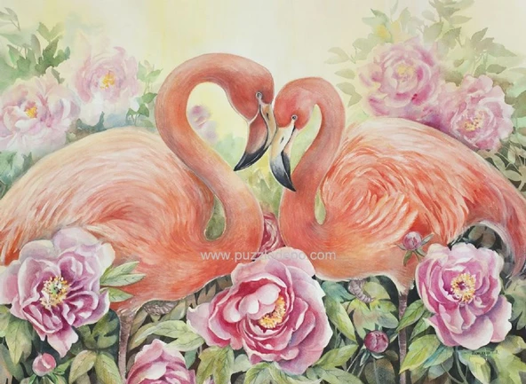 Nova 41104 İki Aşık Flamingo Puzzle - 1000 Parçalı ürün görseli 1